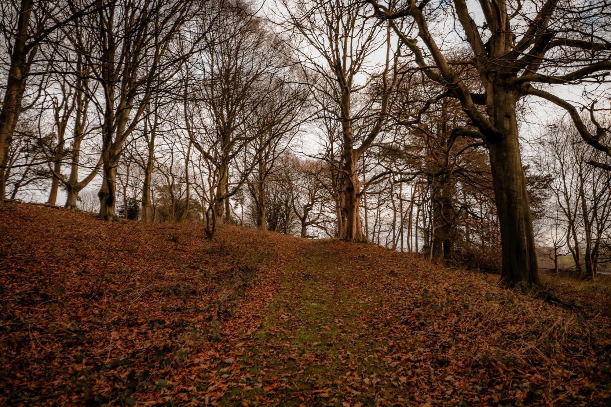 Gallows Hill Scarborough Bagian luar foto